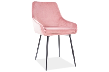 Tapicerowane krzesło Albi Velvet z metalowymi nogami - antyczny róż / czarne nogi