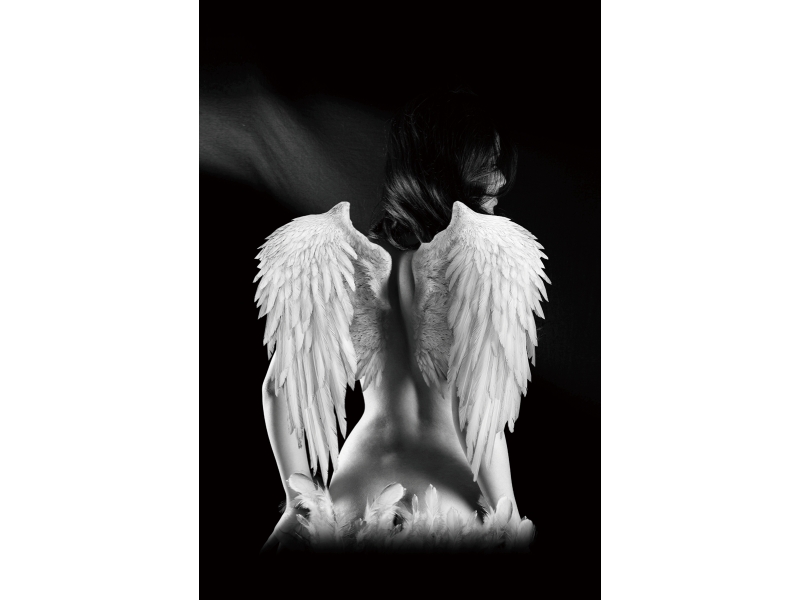 OBRAZ ANGEL 80X120 obraz angel 80x120